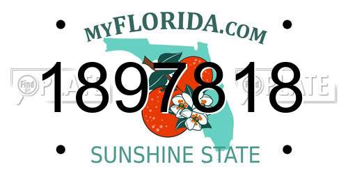 1897818 Florida License Plate