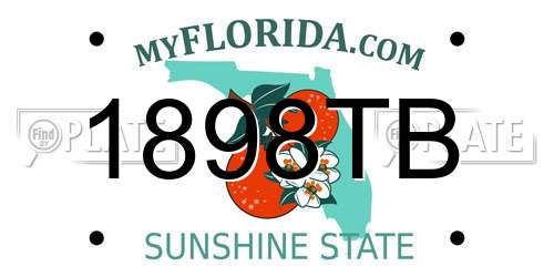 1898TB Florida License Plate