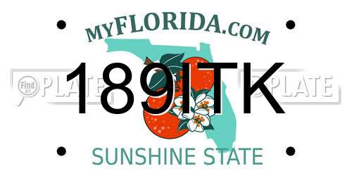 189ITK Florida License Plate