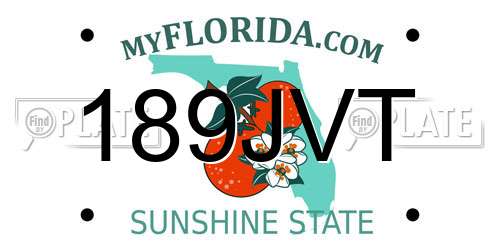 189JVT Florida License Plate