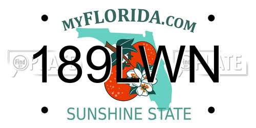 189LWN Florida License Plate