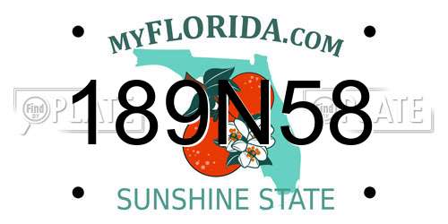 189N58 Florida License Plate