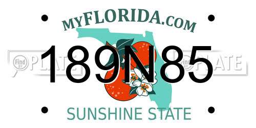 189N85 Florida License Plate