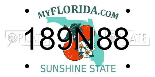189N88 Florida License Plate