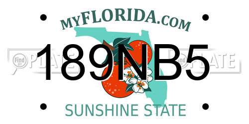 189NB5 Florida License Plate