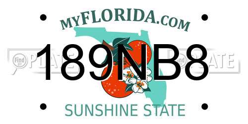 189NB8 Florida License Plate