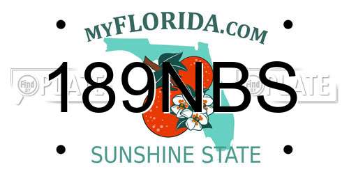 189NBS Florida License Plate