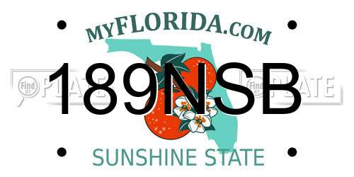 189NSB Florida License Plate