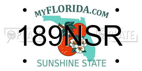 189NSR Florida License Plate