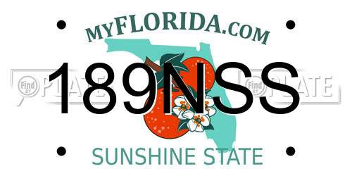 189NSS Florida License Plate