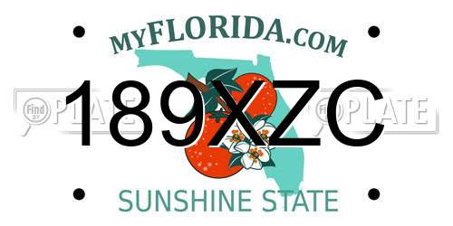 189XZC Florida License Plate