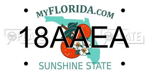 18AAEA Florida License Plate