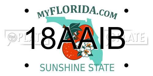 18AAIB Florida License Plate