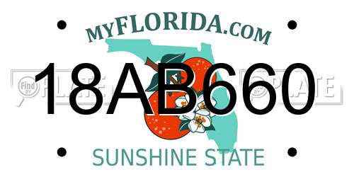 18AB660 Florida License Plate