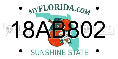 18AB802 Florida License Plate