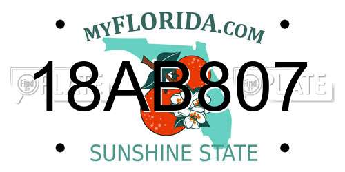 18AB807 Florida License Plate