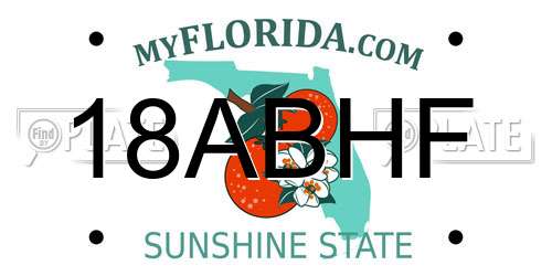 18ABHF Florida License Plate