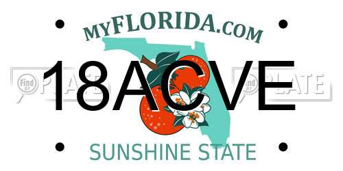 18ACVE Florida License Plate