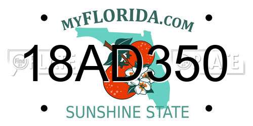 18AD350 Florida License Plate