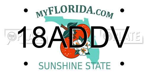 18ADDV Florida License Plate