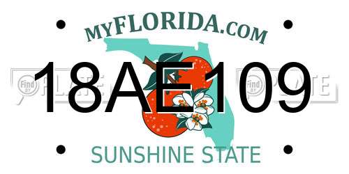 18AE109 Florida License Plate