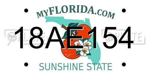 18AE154 Florida License Plate