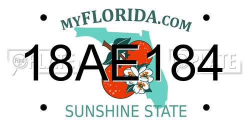 18AE184 Florida License Plate