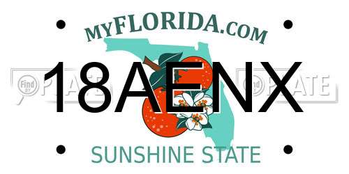 18AENX Florida License Plate