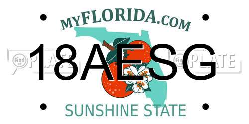 18AESG Florida License Plate