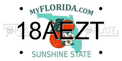 18AEZT Florida License Plate