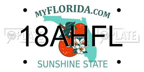 18AHFL Florida License Plate