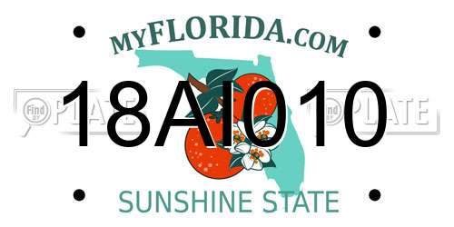 18AI010 Florida License Plate
