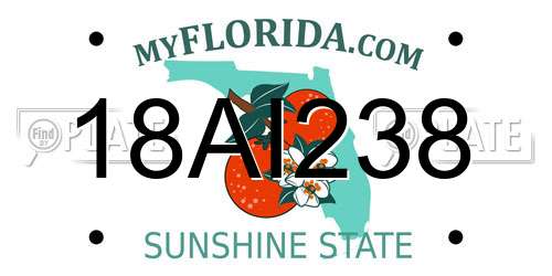 18AI238 Florida License Plate