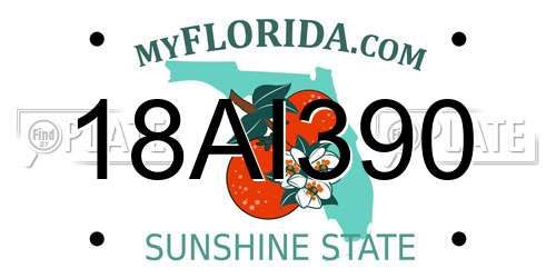 18AI390 Florida License Plate