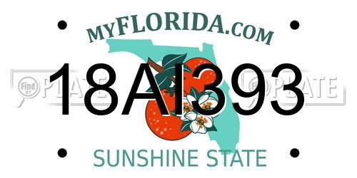 18AI393 Florida License Plate