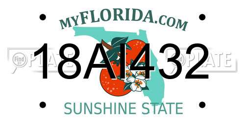 18AI432 Florida License Plate