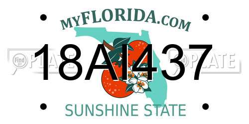 18AI437 Florida License Plate