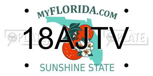 18AJTV Florida License Plate