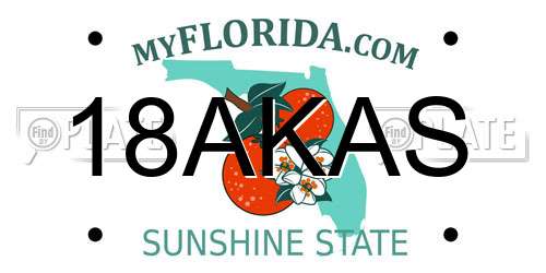 18AKAS Florida License Plate