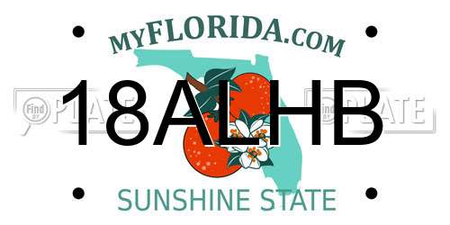 18ALHB Florida License Plate
