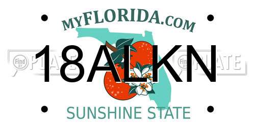 18ALKN Florida License Plate
