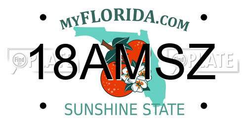 18AMSZ Florida License Plate