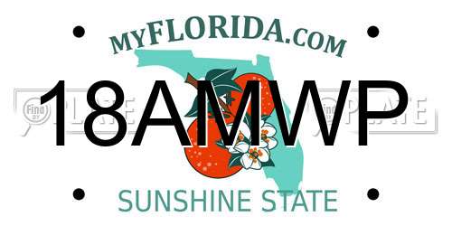 18AMWP Florida License Plate