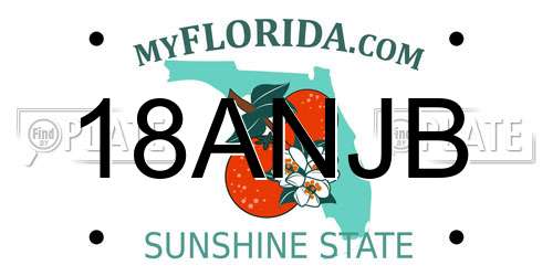 18ANJB Florida License Plate