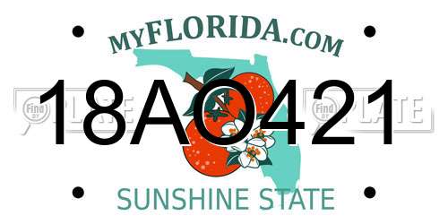18AO421 Florida License Plate