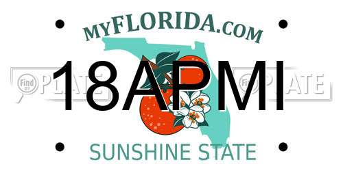 18APMI Florida License Plate