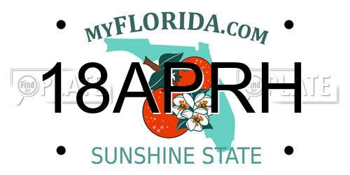 18APRH Florida License Plate