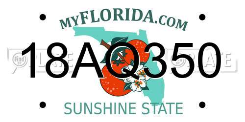 18AQ350 Florida License Plate