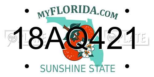 18AQ421 Florida License Plate