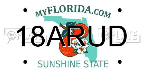 18ARUD Florida License Plate